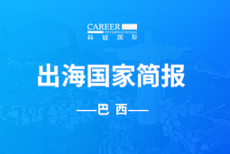 凯发K8国际GO GLOBAL | 巴西国家简报