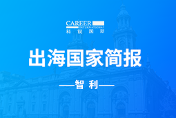 凯发K8国际GO GLOBAL | 智利国家简报