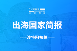 凯发K8国际GO GLOBAL | 沙特阿拉伯国家简报